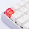 20180619 - Jelly Key - Product - Jelly Eden - 0074 (Copy)